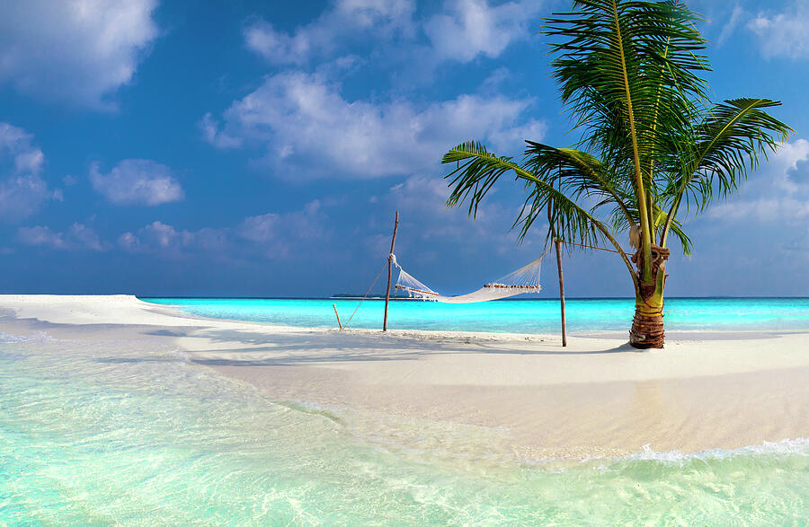 Hammock Photograph - Island Solitude by Sean Davey Hammock Photograph - Island Solitude by Sean Davey
