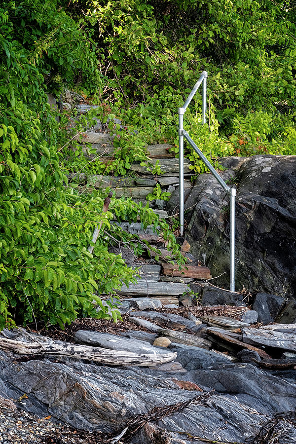 Island Steps Photograph by Tom Singleton
