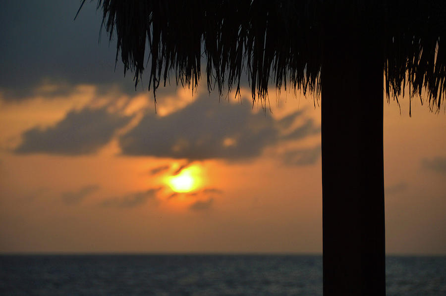 Island Sunset Photograph by JAMART Photography