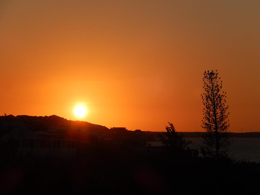 Island sunset Photograph by Patricia Caron