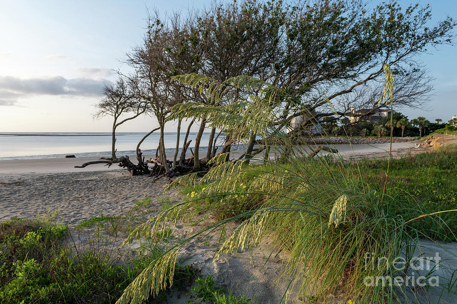 Island Time on Breach Inlet in Charleston South Carolina Photograph by Dale Powell