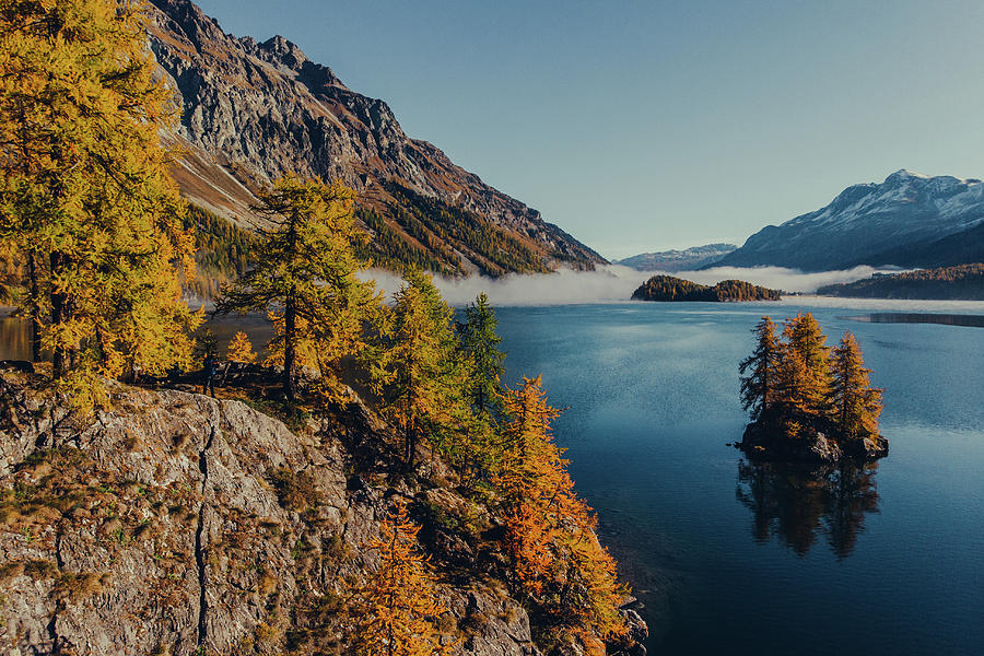 Islands In Lake Sils At Sunrise, Oberengadin, Sankt Moritz Im Engadin ...