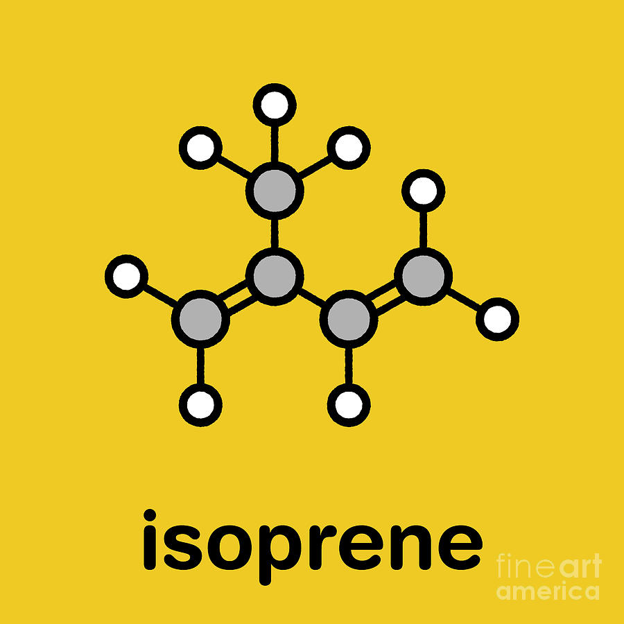 Isoprene Rubber Building Block Molecule Photograph by Molekuul/science Photo Library