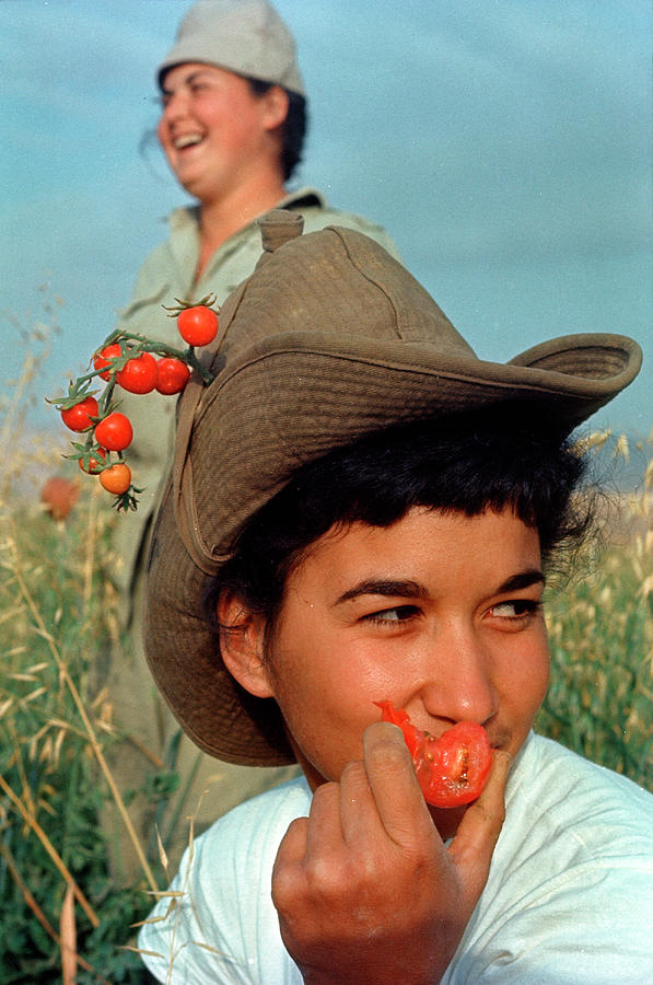 Tomato Photograph - Israel by Paul Schutzer