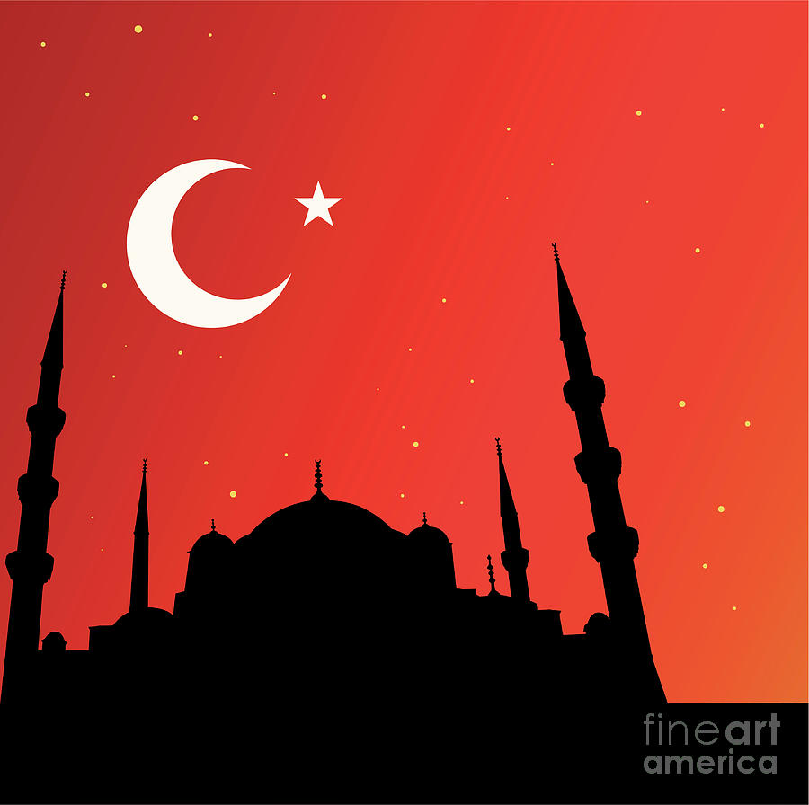 Istanbul And Mosques Digital Art by Drmakkoy