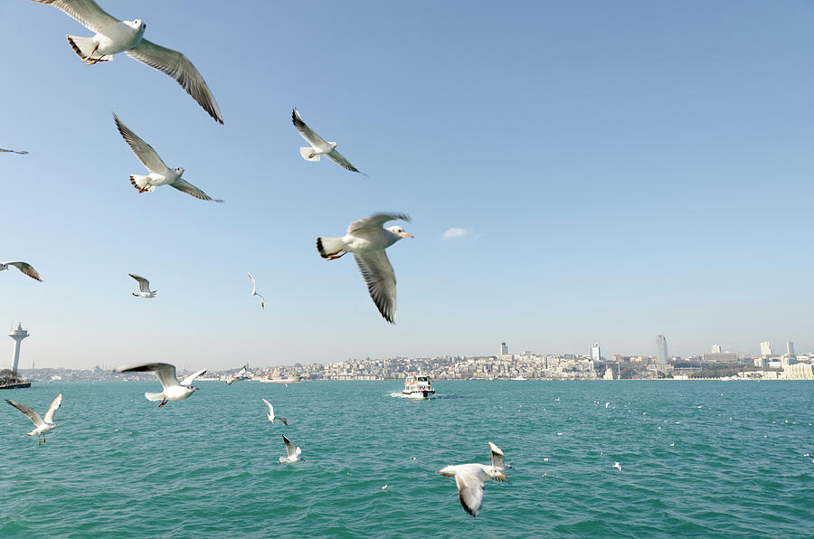 Istanbul On A Sunny Day Photograph by Funky-data