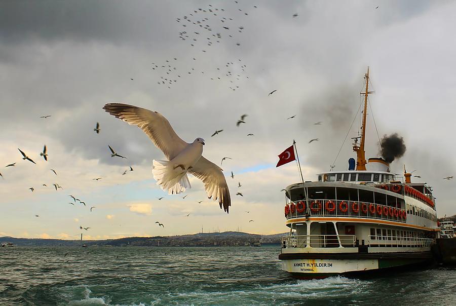 Landscape Photograph - Istanbul / Turkey by Emine Basa
