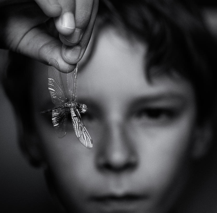 Boy Photograph - It Doesn\'t Fly Anymore by Mirjam Delrue