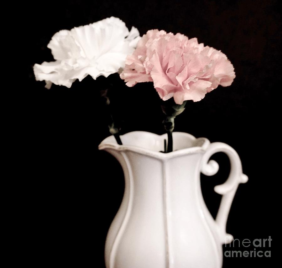 Photo Photograph - It Is A Girl by Marsha Heiken Photo Photograph - It Is A Girl by Marsha Heiken