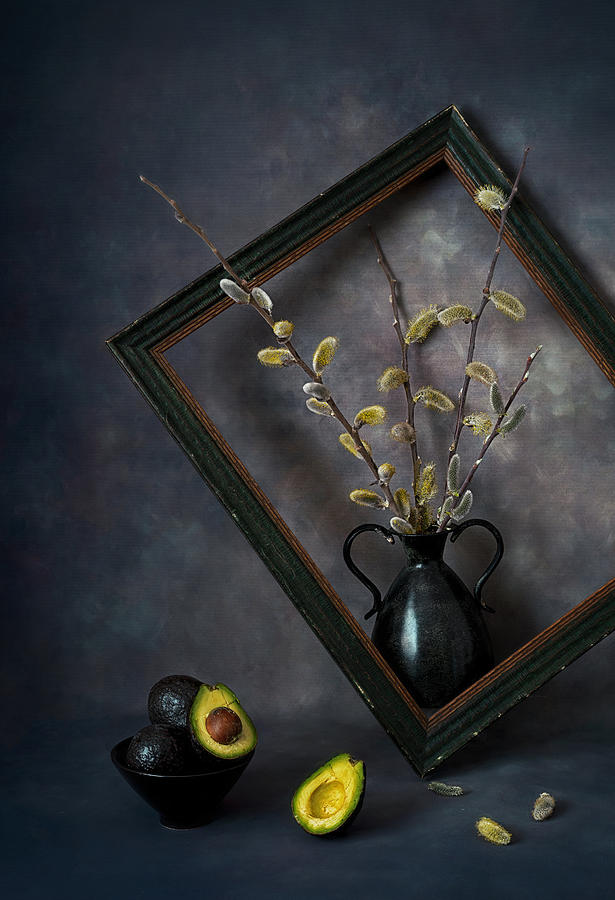 Salix Photograph - It Is Spring Time by Lydia Jacobs Salix Photograph - It Is Spring Time by Lydia Jacobs