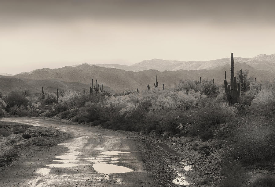 Phoenix Photograph - It Rained by Gordon Beck