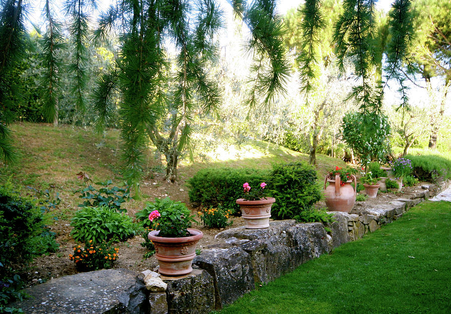 Italian Garden Umbria Photograph by Femina Photo Art By Maggie