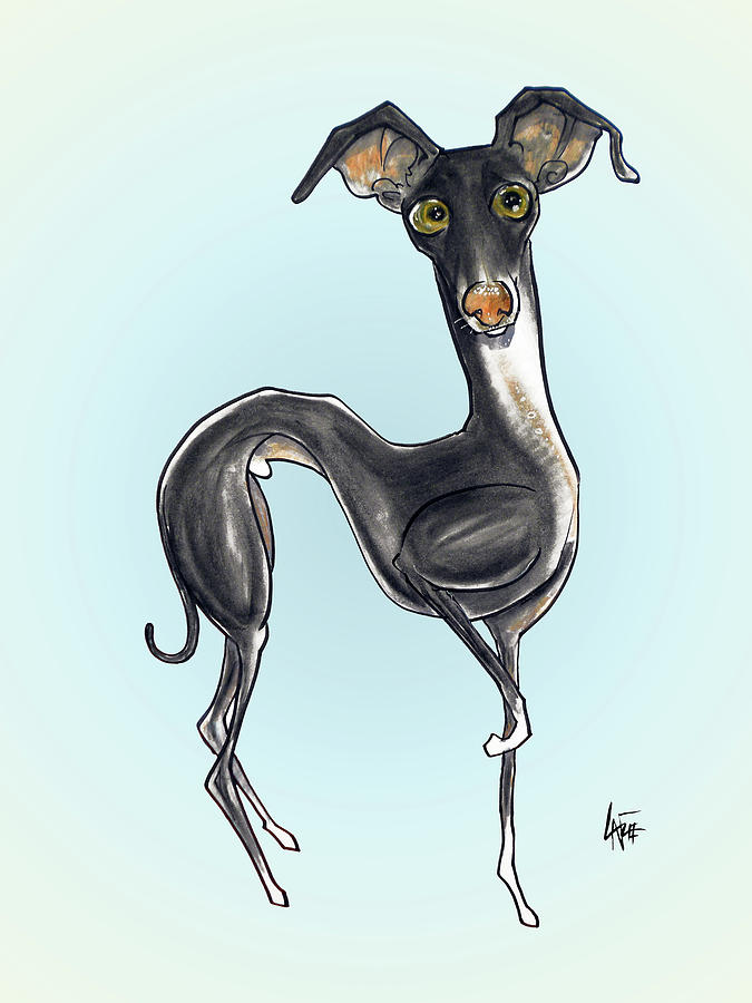 Italian Greyhound Drawing by Canine Caricatures Custom Merchandise