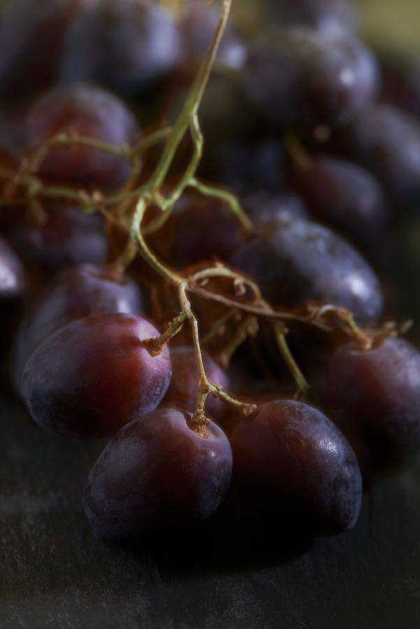 Italian Red Grapes close-up Photograph by Atkinson / Sue Dr.