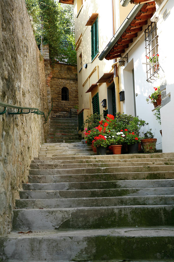 Italian Stairway In Fiesole Photograph by Constantgardener