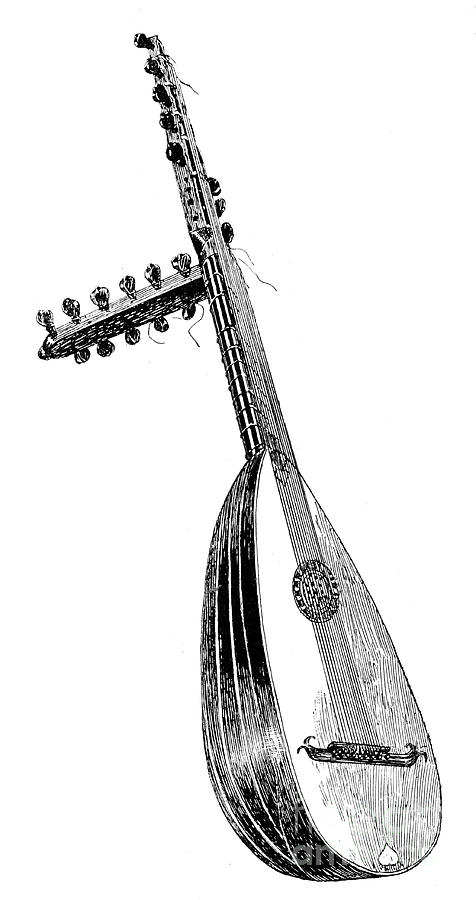 Italian Theorbo, 16th Century, 1901 Drawing by Print Collector