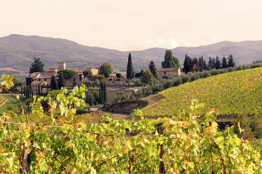 Italian Village And Vineyard In Fall Photograph by Lisa-blue Italian Village And Vineyard In Fall Photograph by Lisa-blue