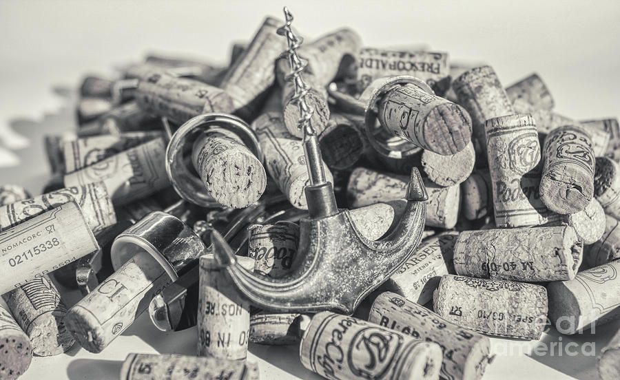Italian Wine Corks and Vintage Corckscrew  Photograph by Stefano Senise