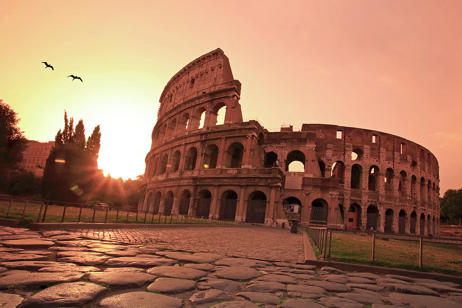 Italy, Lazio, Rome, Colosseum At Dawn Photograph by Michele Falzone