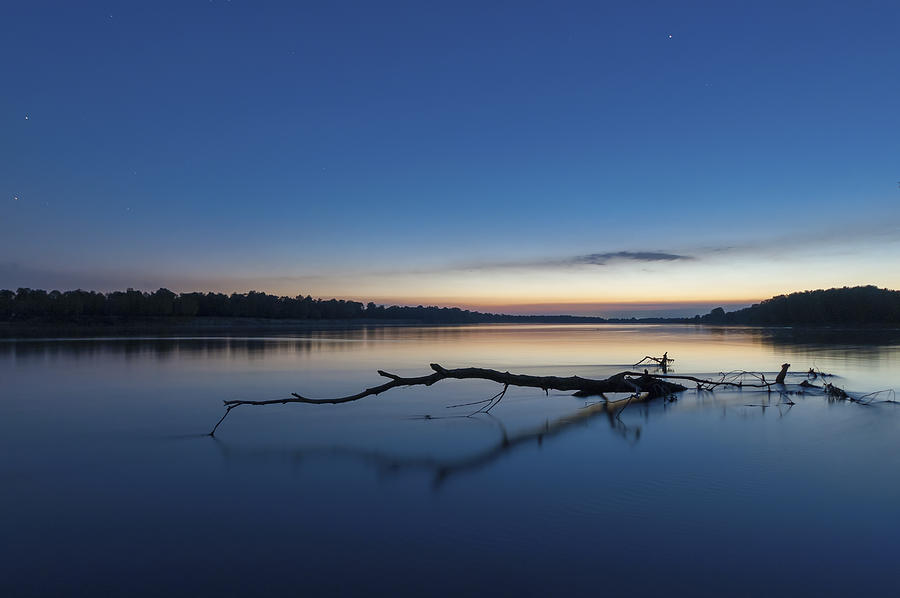 Italy, Lombardy, Pavia District, A Log In The Water On The Po River At Blue Hour Near Sostegno Digital Art by Marco Zaffignani