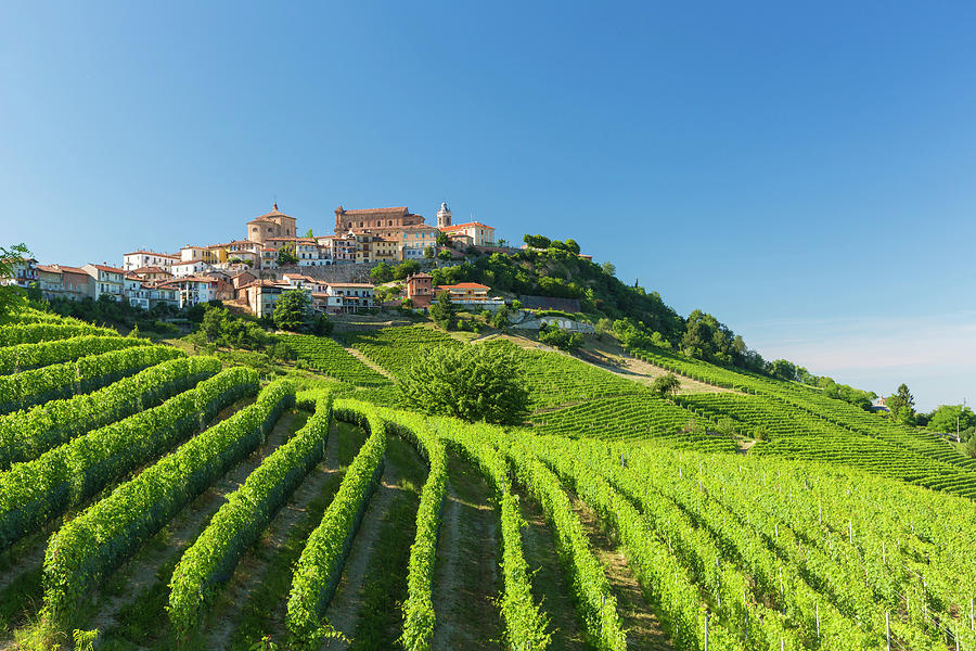Italy, Piedmont, Cuneo District, Colline Del Barolo, Langhe, La Morra, The Nebbiolo Vineyards Surround The Village Of La Morra Digital Art by Marco Arduino