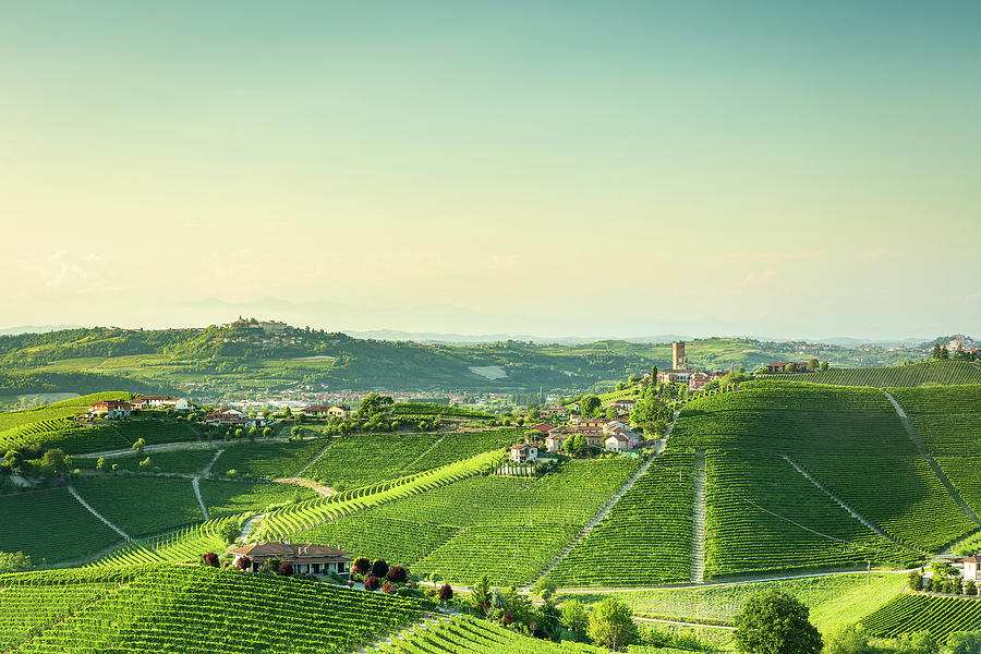 Paradise Digital Art - Italy, Piedmont, Cuneo District, Langhe, Barbaresco, Vineyards On The Hills Near The Villages Of Barbaresco by Marco Arduino
