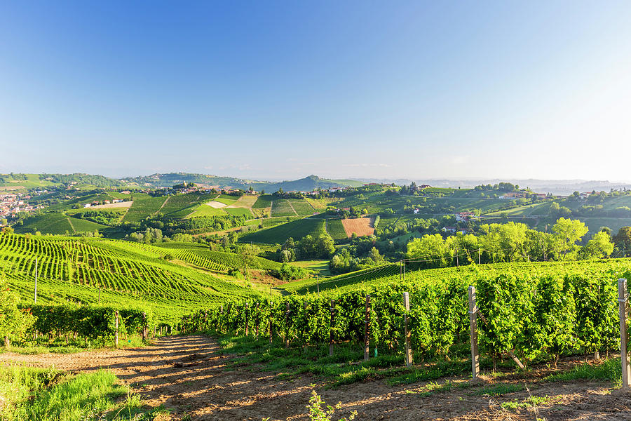 Italy, Piedmont, Cuneo District, Vineyards On The Hills Near The Village Of Santo Stefano Belbo Digital Art by Marco Arduino