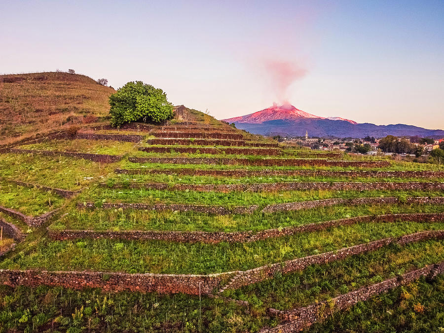 Nature Digital Art - Italy, Sicily, Catania District, Mount Etna, Pedara, Vineyard Of Monte Troina, In The Background The Etneo Town Of Pedara And The Erupting Etna by Alessandro Saffo