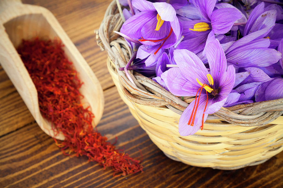 Italy, Sicily, Siracusa District, Buccheri, Saffron Flower (crocus Sativus) And Stigmas (or Pistils) From Which The Spice Used In Cooking Is Obtained Digital Art by Luca Scamporlino