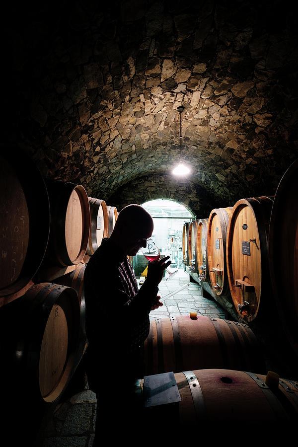 Wine Digital Art - Italy, Trentino-alto Adige, Venosta Valley, Castelbello-ciardes, Alto Adige, Sudtirol, Alps, Cantina Unterortl, Wine Tasting In Wine Cellar by Franco Cogoli