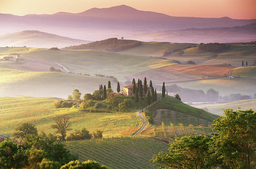 Italy, Tuscany, Countryside Near Siena Photograph by Peter Adams
