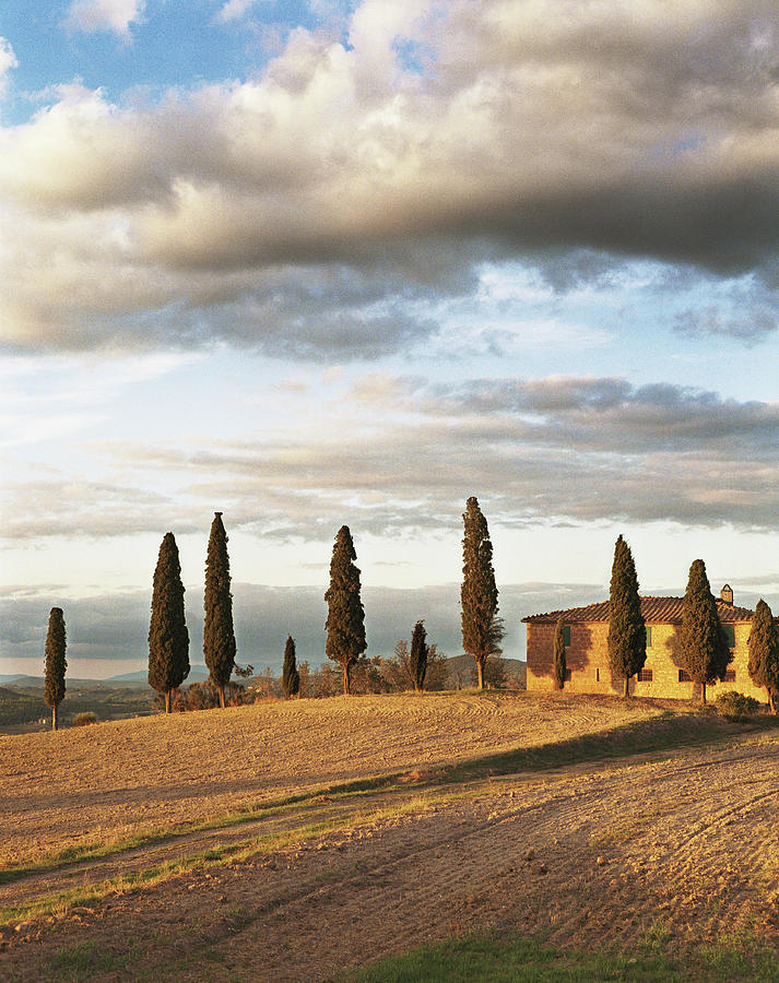 Italy, Tuscany, Farmhouse And Cypress Photograph by Gary Yeowell