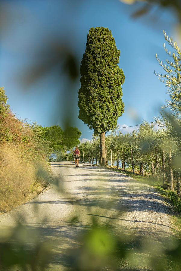 Italy, Tuscany, Firenze District, Chianti, Panzano In Chianti, Woman Hiking Along Dirt Road. Via Case Sparse, Panzano In Chianti Digital Art by Guido Cozzi