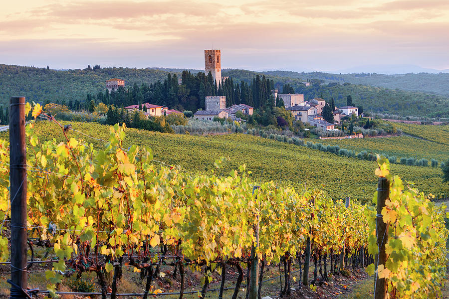 Italy, Tuscany, Firenze District, Chianti, Tavarnelle Val Di Pesa, Autumn Vineyard With San Michele Arcangelo Abbey In The Background, Badia A Passignano Village Digital Art by Guido Baviera