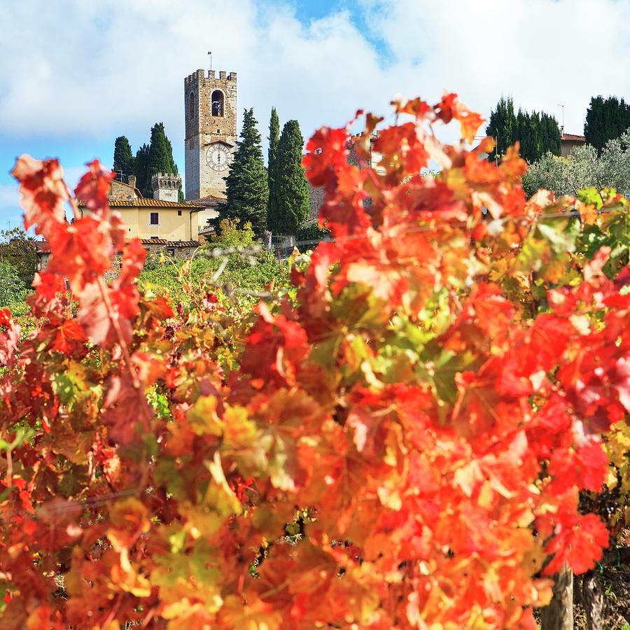 Italy, Tuscany, Firenze District, Chianti, Tavarnelle Val Di Pesa, Badia A Passignano, Bell Tower And Autumn Leaves Digital Art by Luigi Vaccarella