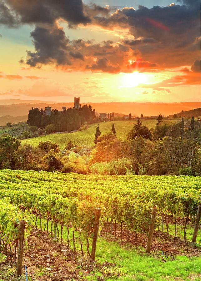 Italy, Tuscany, Firenze District, Chianti, Tavarnelle Val Di Pesa, Badia A Passignano, Sunset Digital Art by Luigi Vaccarella