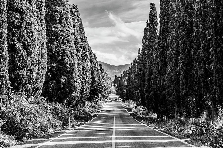 Italy, Tuscany, Livorno District, Maremma, Bolgheri, View Of Viale Dei Cipressi Digital Art by Massimo Borchi