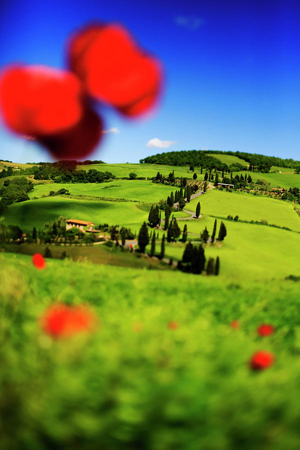 Italy, Tuscany, Pienza, Countryside Digital Art by Maurizio Rellini