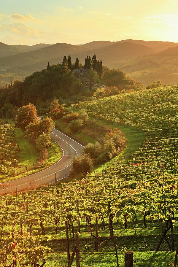 Italy, Tuscany, Siena District, Chianti, Castellina In Chianti, Sunset Over The Vineyards Near Piazza Locality Digital Art by Luigi Vaccarella