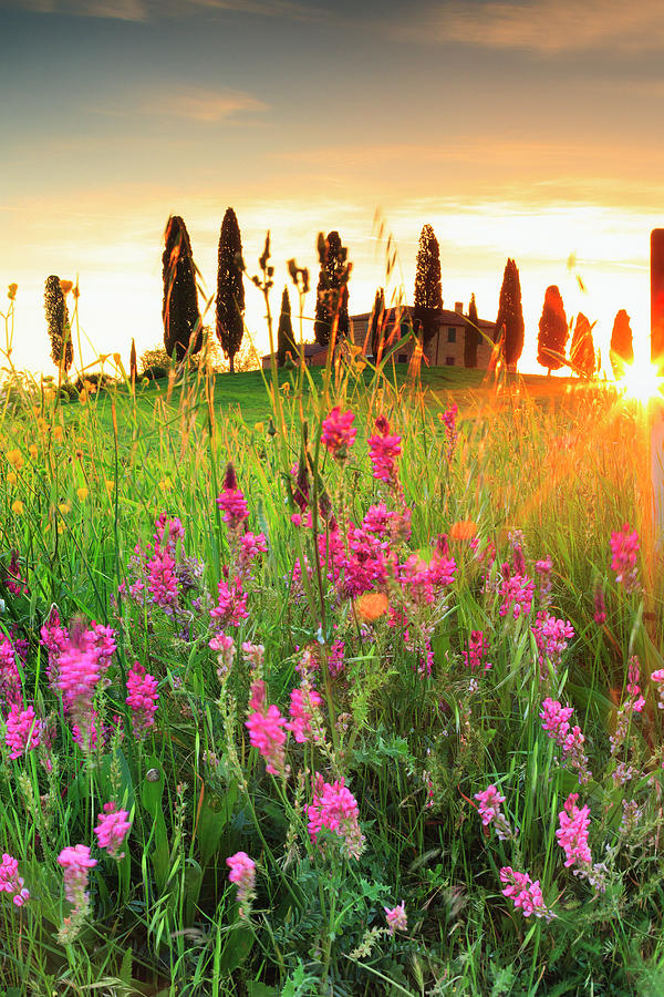 Italy, Tuscany, Siena District, Orcia Valley, Meadow At Sunset With A Typical House In The Background, Near Pienza Digital Art by Maurizio Rellini