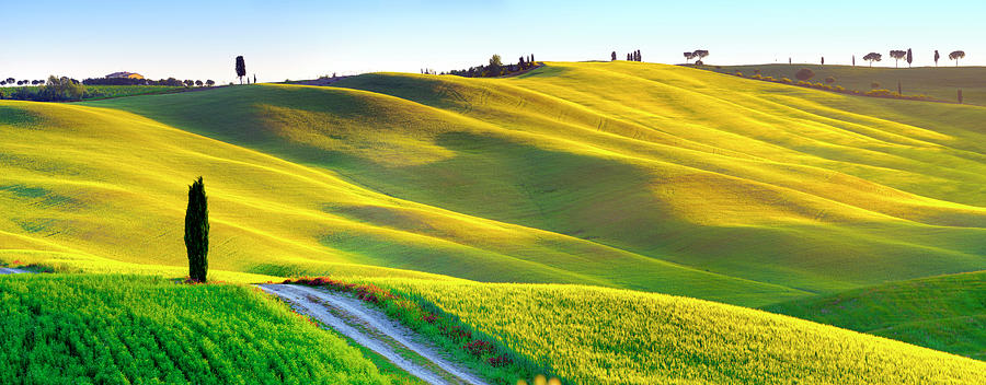 Italy, Tuscany, Siena District, Orcia Valley, Tuscan Landscape Lit By The Sunrise Digital Art by Francesco Carovillano