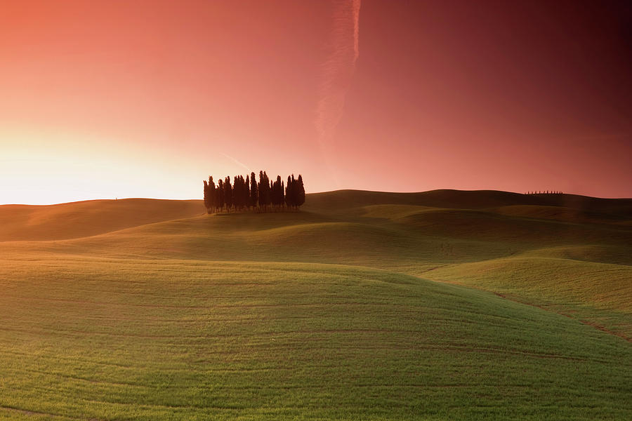 Italy, Tuscany, Val Dorcia, Cypress Photograph by Buena Vista Images