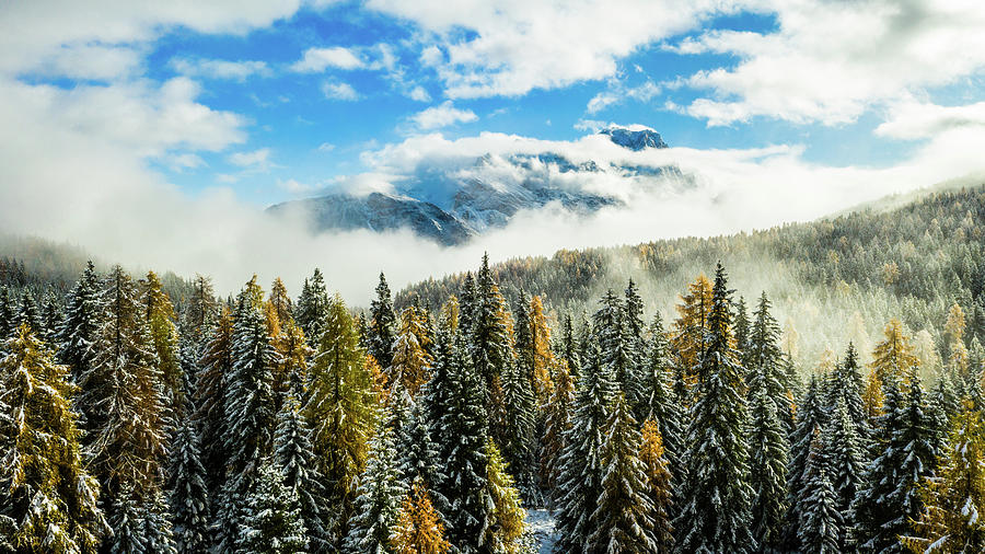 Fall Digital Art - Italy, Veneto, Cadore, Cortina Dampezzo, Dolomites, Natural Park Of The Ampezzo Dolomites, A Forest After Snowfall by Manfred Bortoli