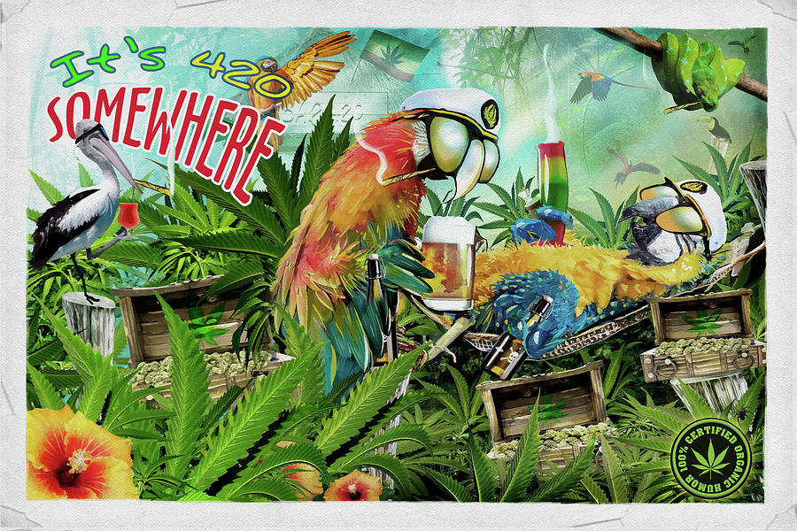 Bird Mixed Media - Its 420 Somewhere by Old Red Truck