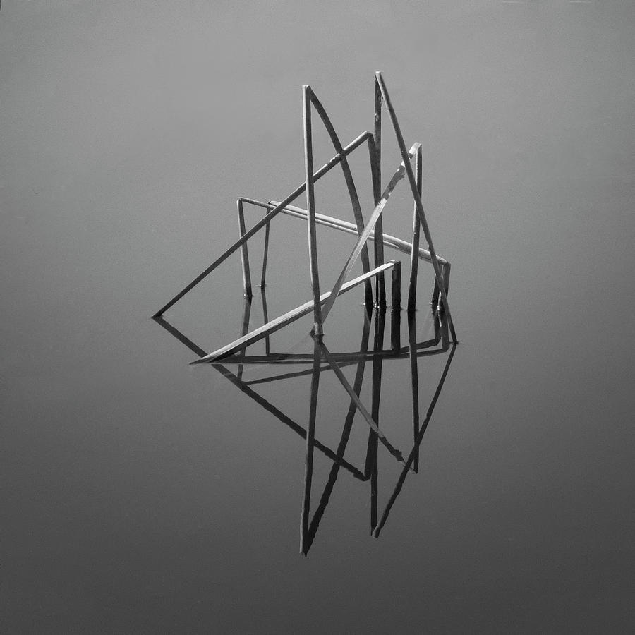 Its Complicated - Broken Reeds and Reflections Photograph by Mitch Spence
