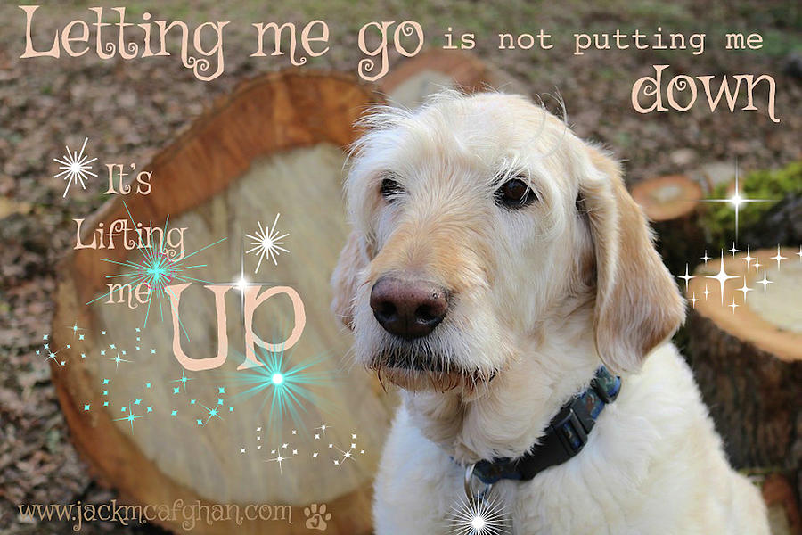 Pet Loss Digital Art - Its Not Putting Me Down Its Lifting Me Up by Kate McGahan