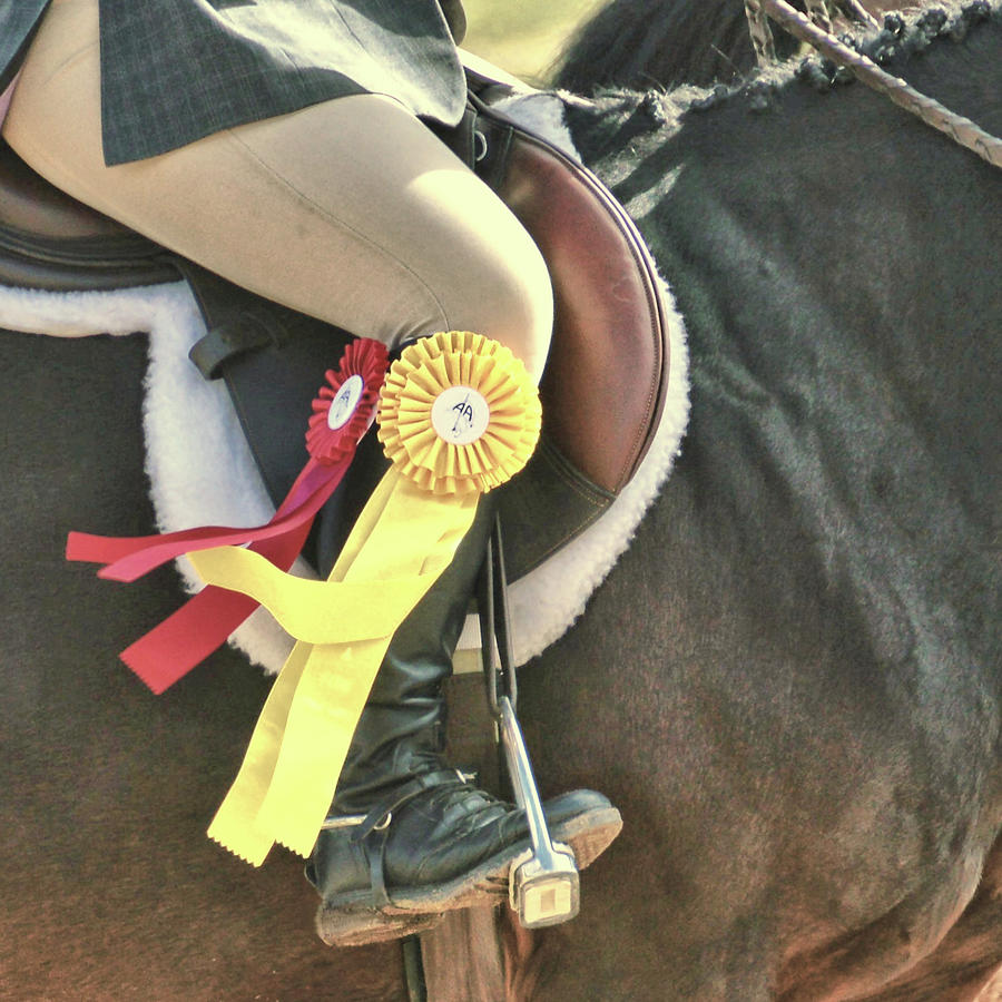 Its Show Time Photograph by Dressage Design
