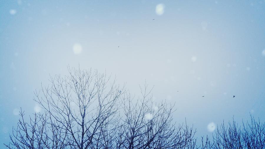 Its Snowing Photograph by Kaochan madeleine