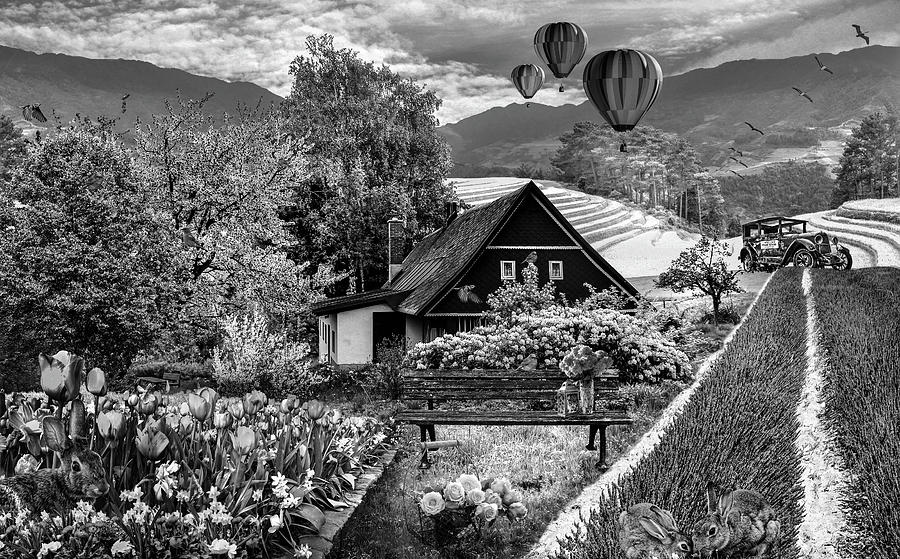 Its Springtime in Black and White Photograph by Debra and Dave Vanderlaan