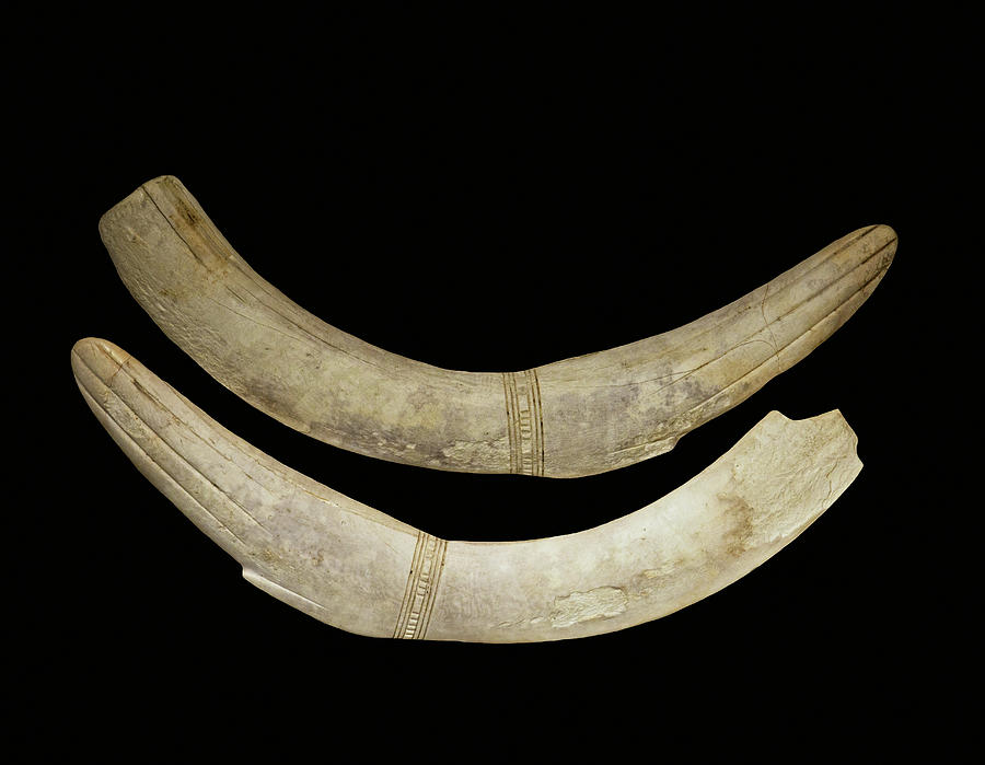 Ivory Clappers, Egyptian, 1400 Bce Photograph by Millard H. Sharp